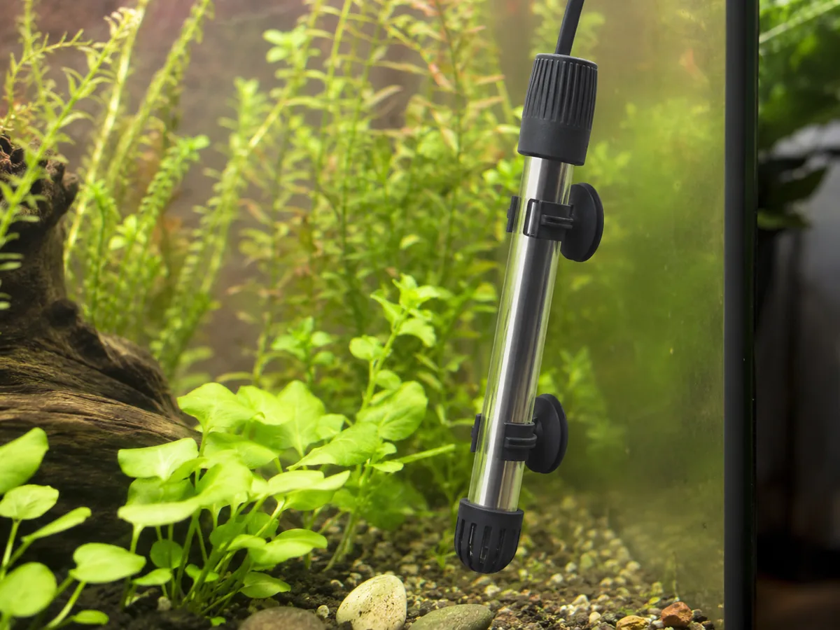 Aquarium Equipment Heaters 2