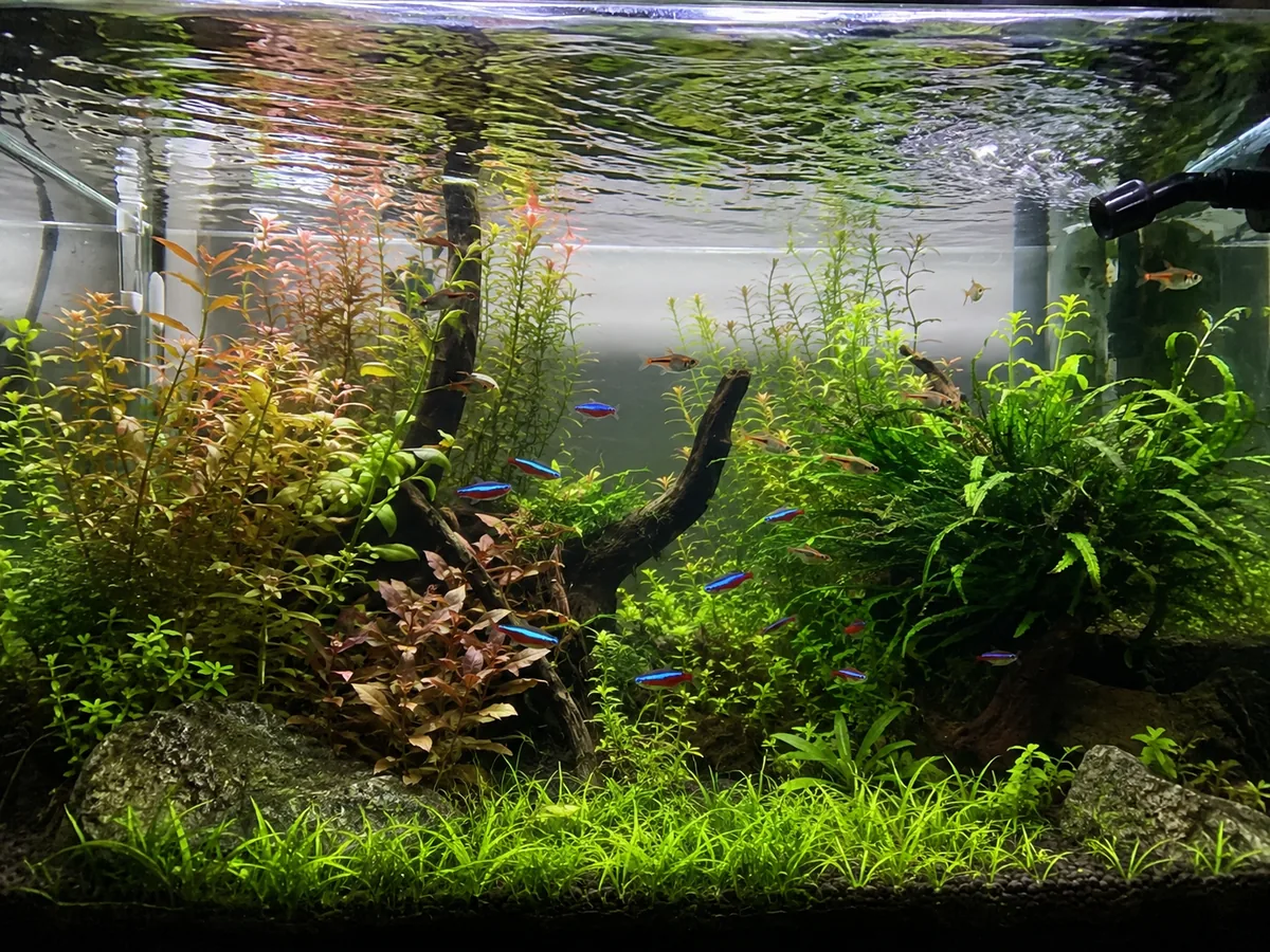 Aquarium Equipment Water Pumps 4