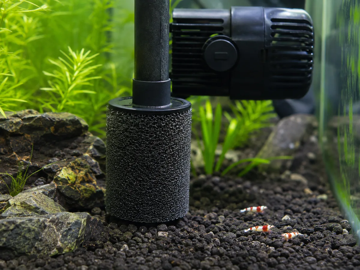 Aquarium Equipment Water Pumps 5