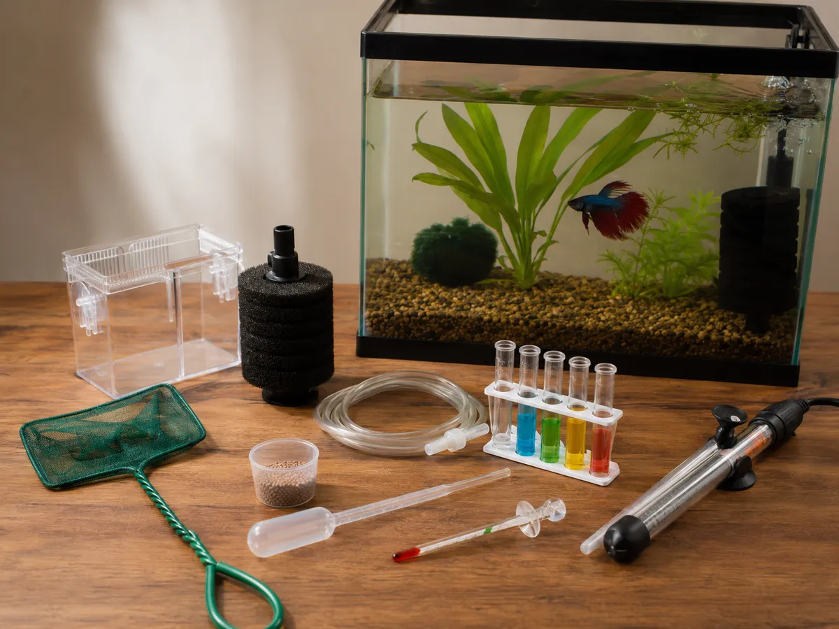 Betta Buoyancy Recovery Toolkit