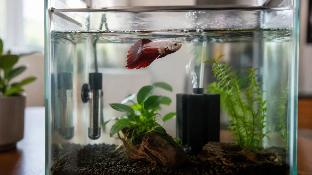 Betta Micro Pellet Portion Control