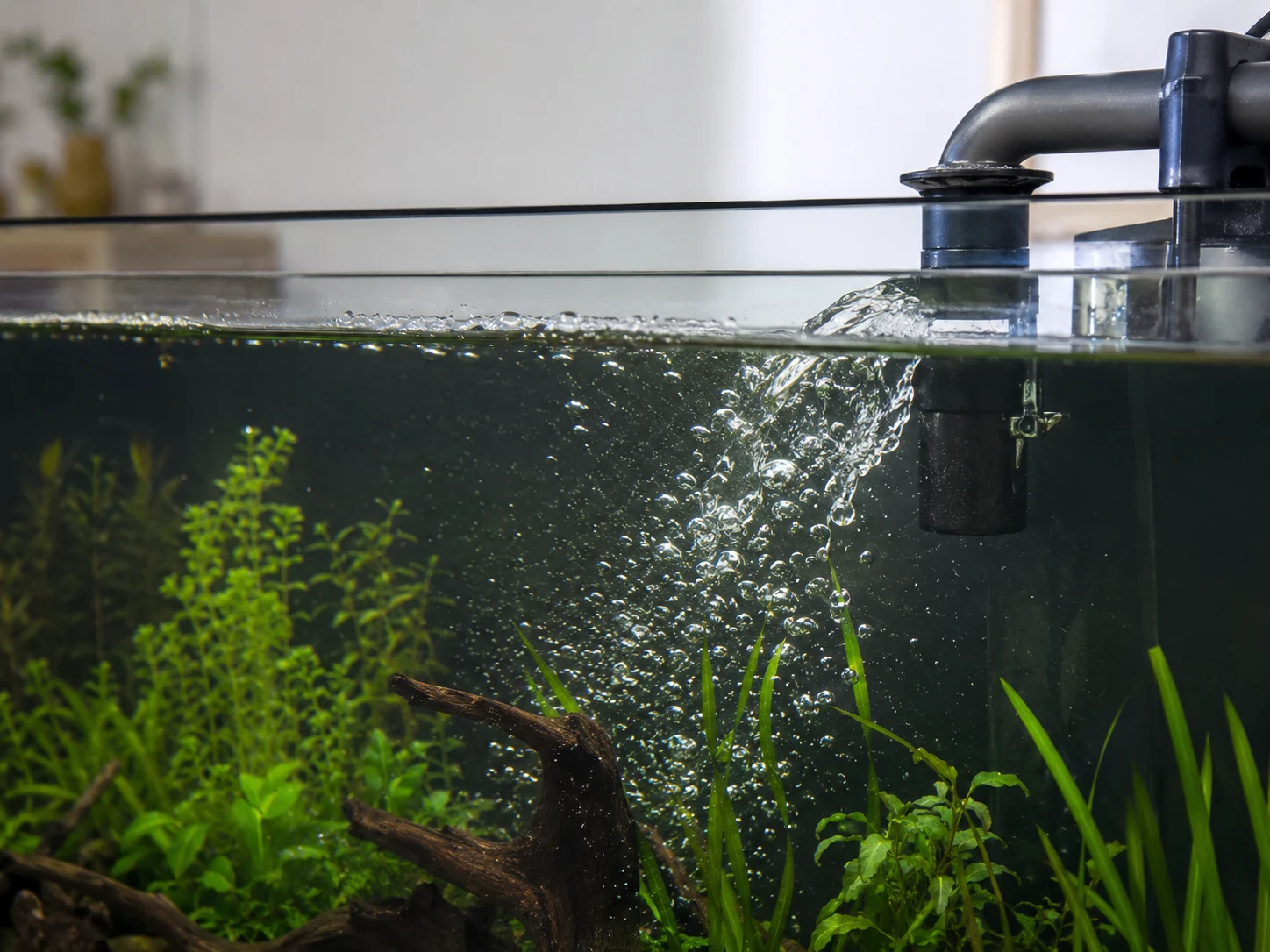 Canister filter return releasing trapped air bubbles into aquarium