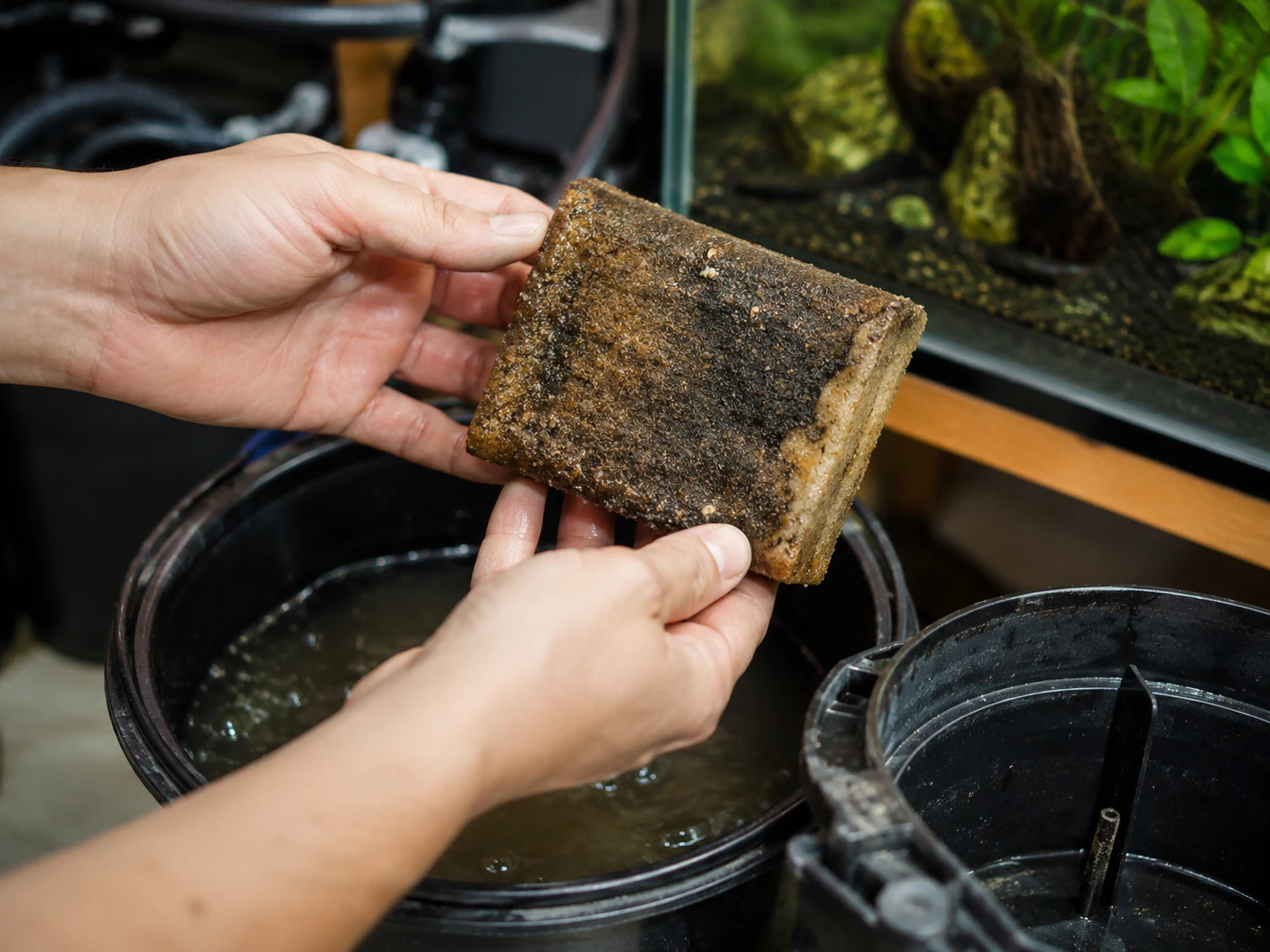 Aquarium filter media being checked for clogging