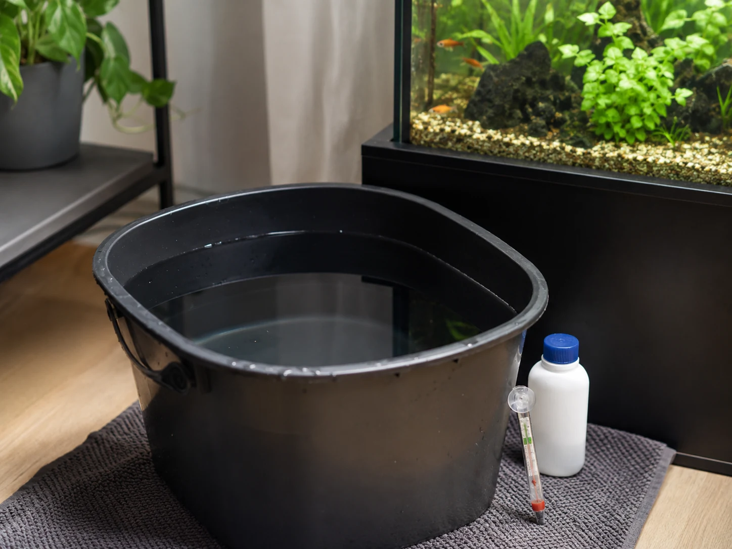 Dechlorinated temperature-matched water prepared in aquarium-only bucket