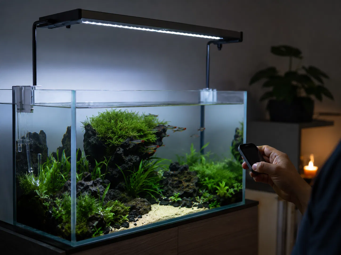 Dimmable Led Ramp Up Aquarium