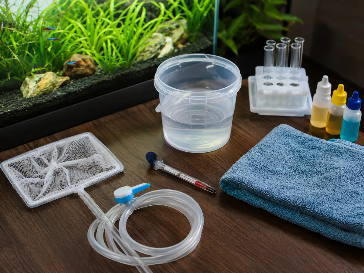 Fish Bag Temperature Float