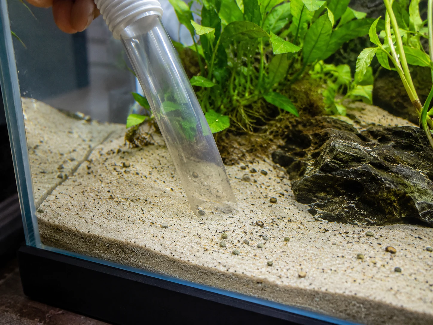 Gentle Sand Siphon Cleaning