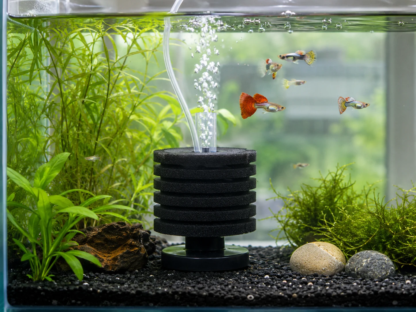 Guppy Sponge Filter Fry Safe