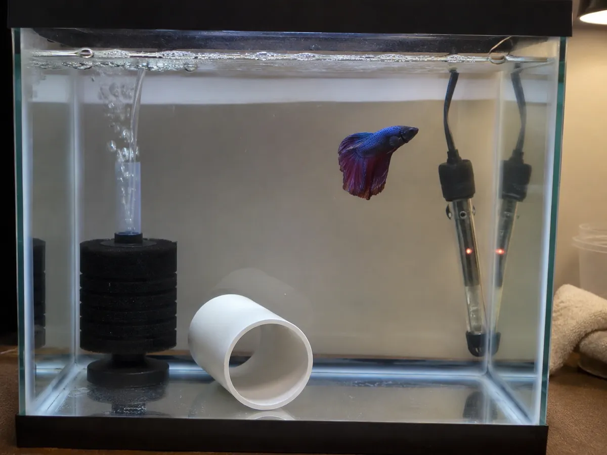 Ich Aeration Support