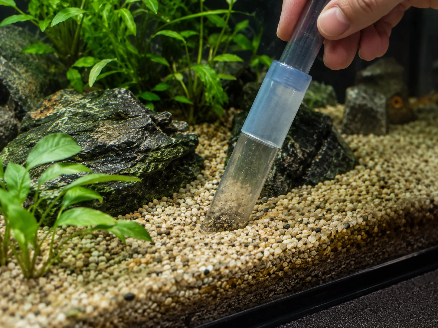 Localized Substrate Siphon Cleaning