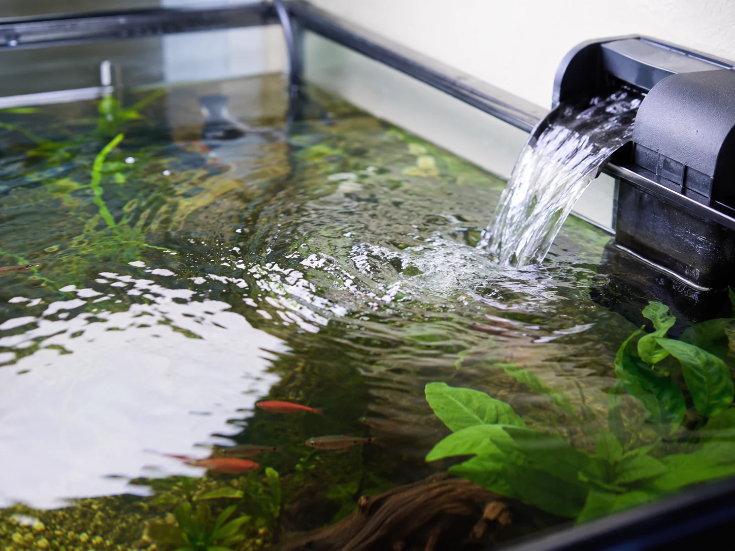 Aquarium filter output creating surface agitation for oxygen exchange
