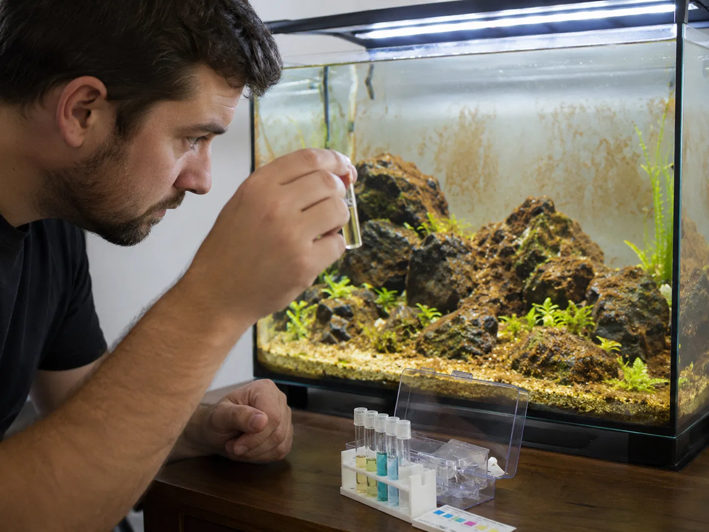 New Tank Brown Algae Water Test
