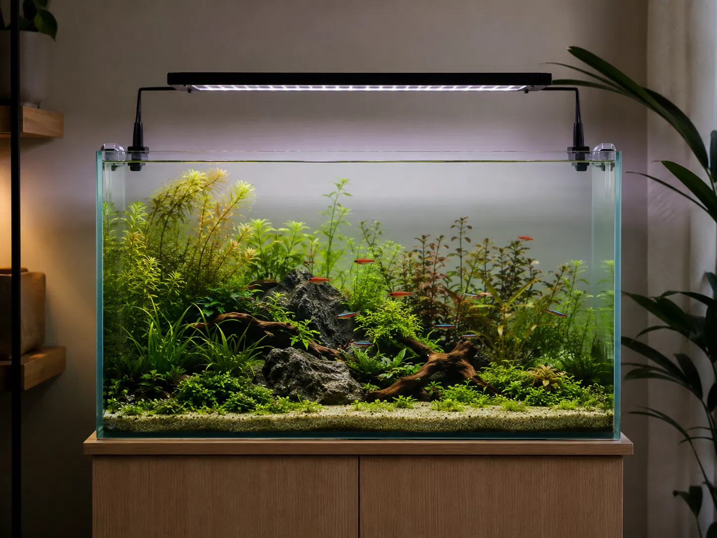 Planted Tank Light Schedule: Photoperiod, Dimming, Algae, and Fish Sleep