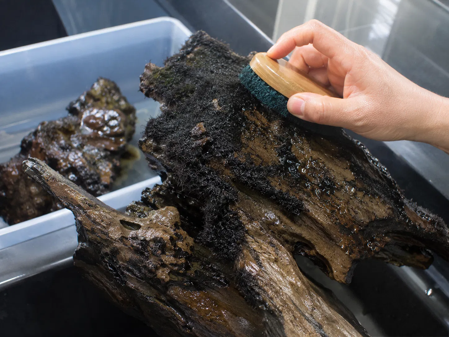 Scrubbing Bba Hardscape Outside Tank