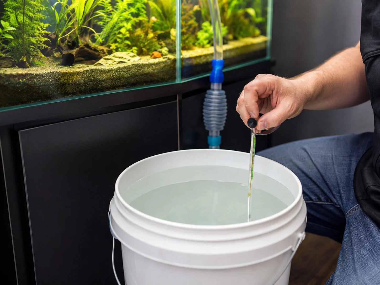 Temperature Matching Water Change