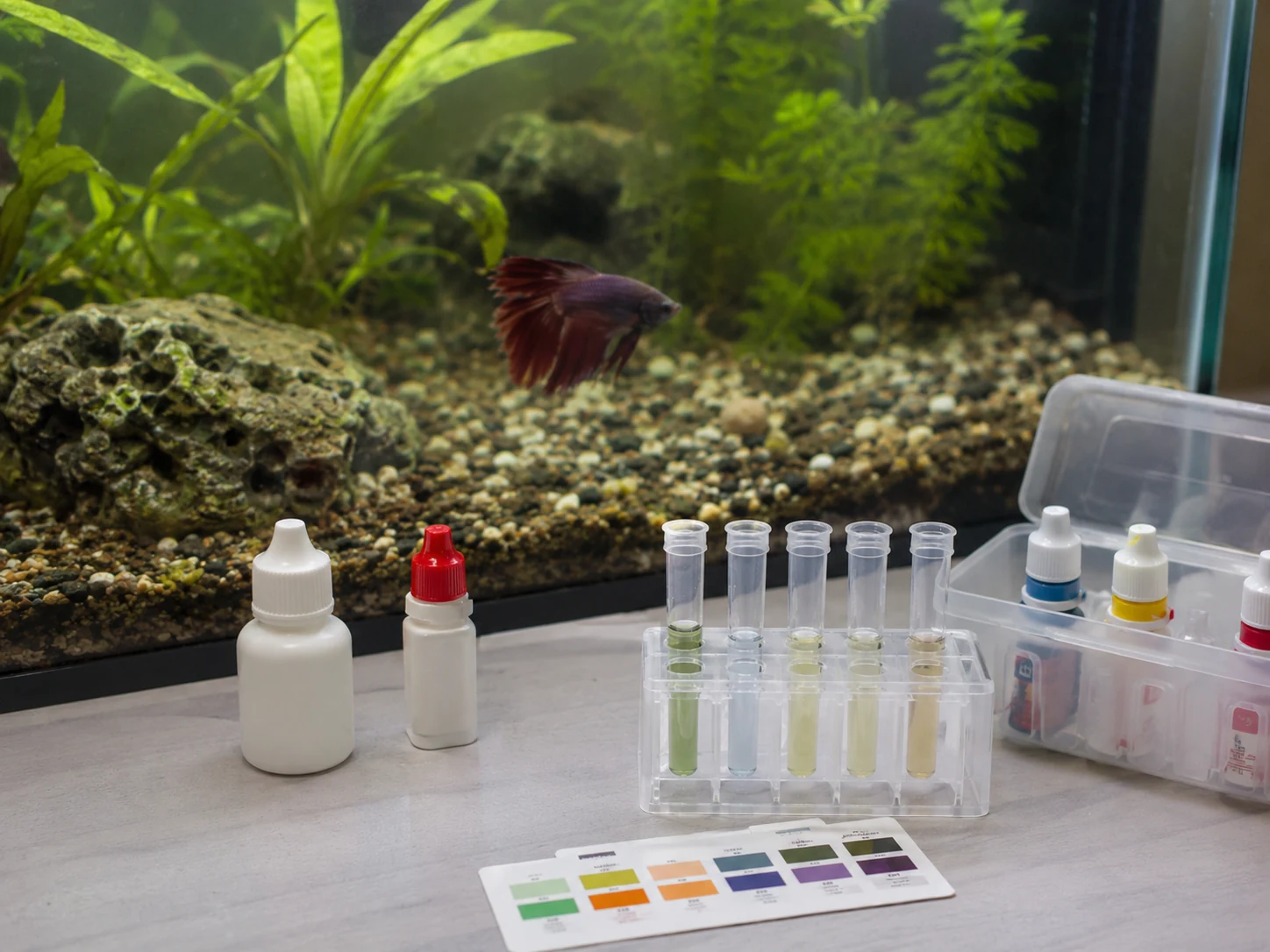 Aquarium water test kit beside a tank with stressed fish