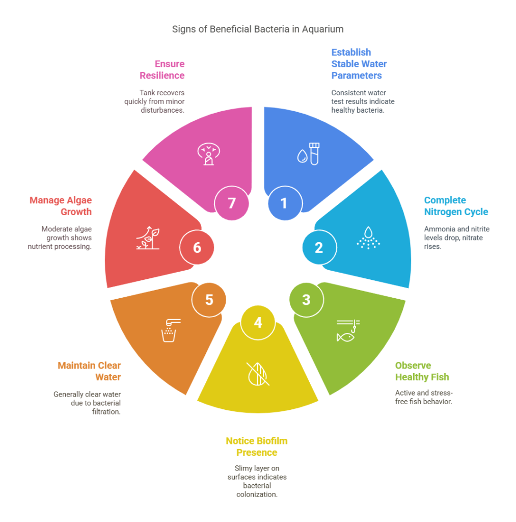 7 Unmistakable Signs Your Tank Has Beneficial Bacteria